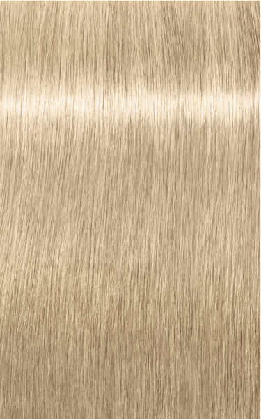 Schwarzkopf Igora Royal Highlifts couleur de cheveux 12-1 Highlifts Spezialblond Cendré