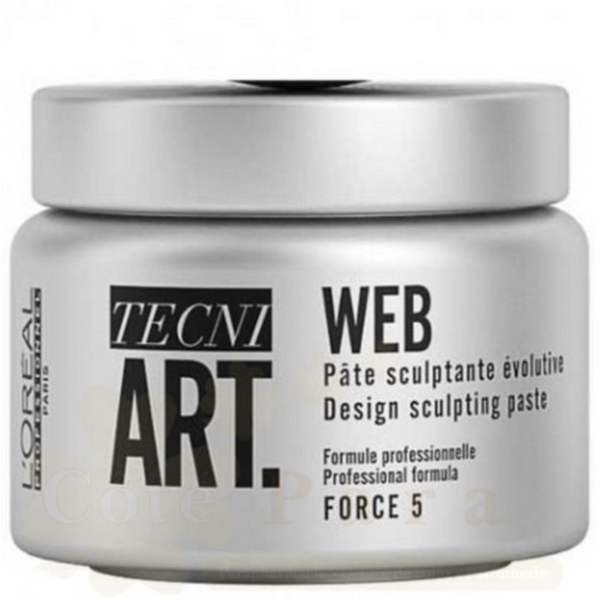 L'Oréal Professionnel Tecni.Art Fix Web - 150 ml