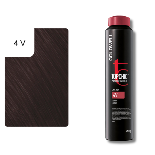 GOLDWELL Topchic Couleur De Cheveux Permanente
