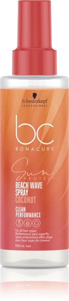 BC Sun Beach Waves Spray