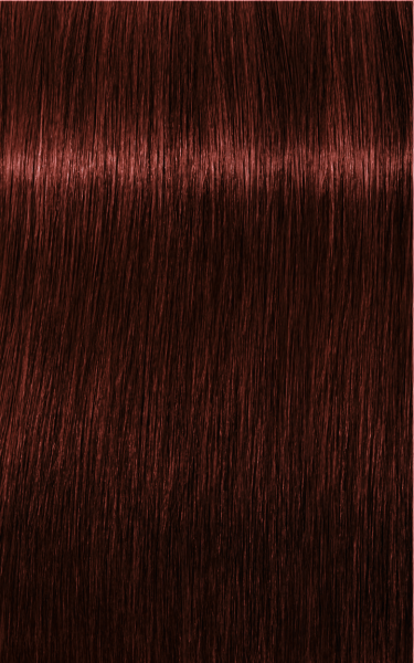 Schwarzkopf Professional Igora Reale Assoluti Colore dei capelli 5-80 chiaro Marrone Rosso naturale