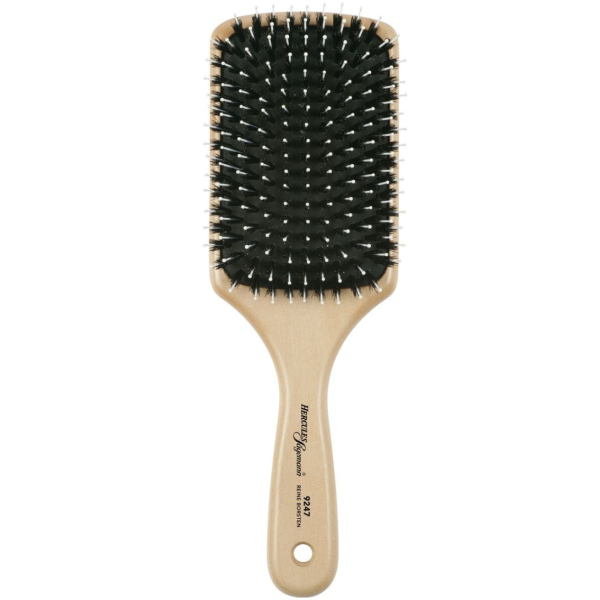 Hercules Sägemann Brosse Plate Manche en Bois