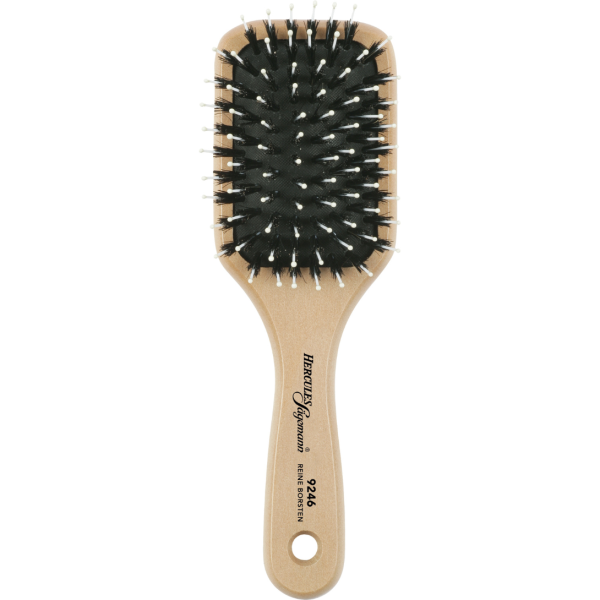 Hercules Sägemann Brosse Plate Manche en Bois