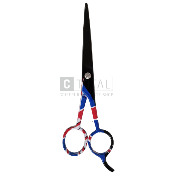 Ronney Professional 5.5 Scissors