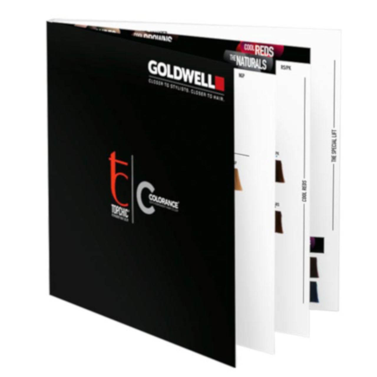 Goldwell Topchic Color Chart C Total 