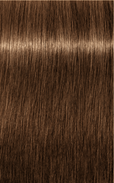 Schwarzkopf Professional Igora Royal Absolutes Coloration Cheveux 7-50 Blond Moyen Or Naturel