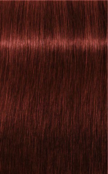 Schwarzkopf Professional Igora Royal Absolutes Coloration Capillaire 6-80 Blond Foncé Rouge Naturel