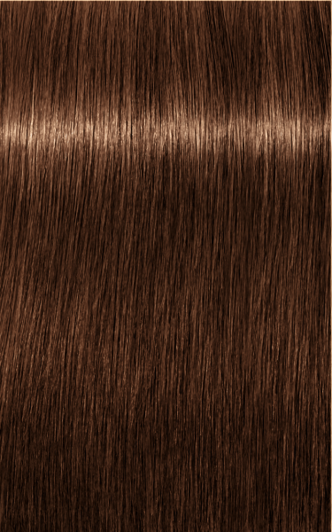Schwarzkopf Professional Igora Royal Absolutes Coloration Cheveux 6-60 Blond Foncé Chocolat Naturel