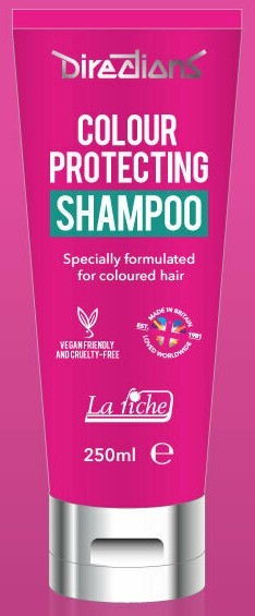 La Riche Directions Colour protecting Shampoo