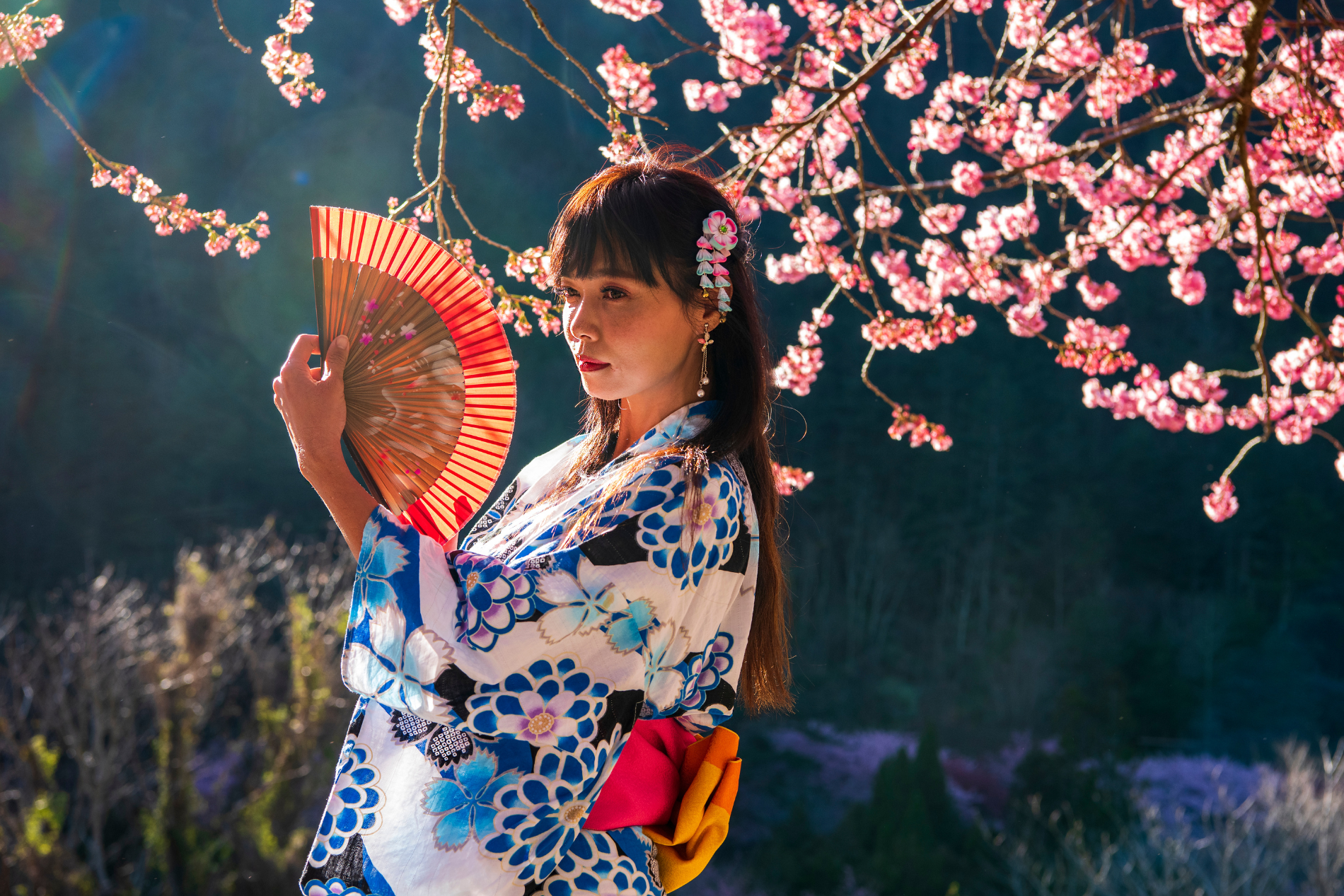 chinese Traditional beauties around the world