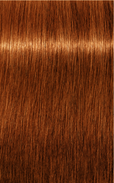 Schwarzkopf Professional Igora Royal Absolutes Hair Color 7-70 Medium Blonde Copper Natural