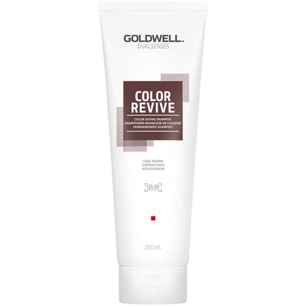 Goldwell Dualsenses Color Revive Shampoo