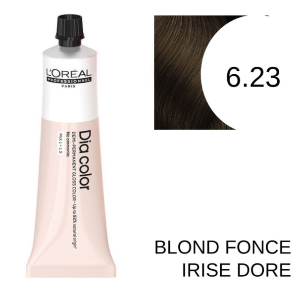 L'Oréal Professionnel Haare Färben Dia Color V140