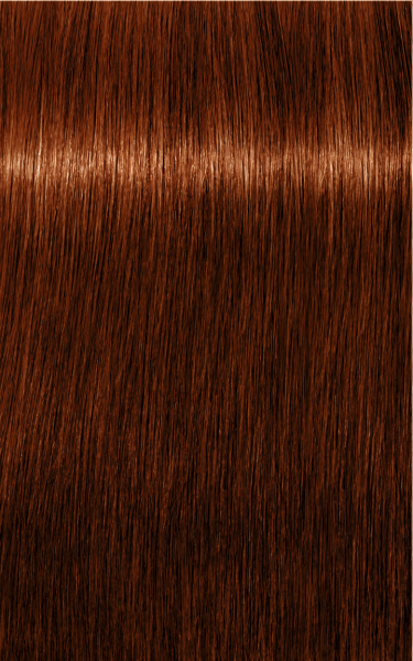 Schwarzkopf Professional Igora Royal Absolutes Hair Color 6-70 Dark Blonde Copper Natural