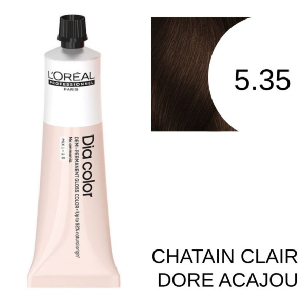 L'Oréal Professionnel Haare Färben Dia Color V140