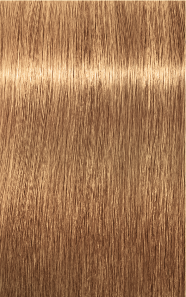 Schwarzkopf Professional Igora Reale Assoluti Colore dei capelli 9-50 Extra Light Biondo Naturale Oro